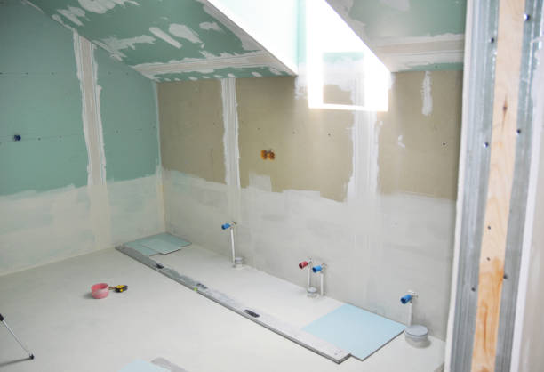 Best Mold Odor Removal Services  in Bristol, WI
